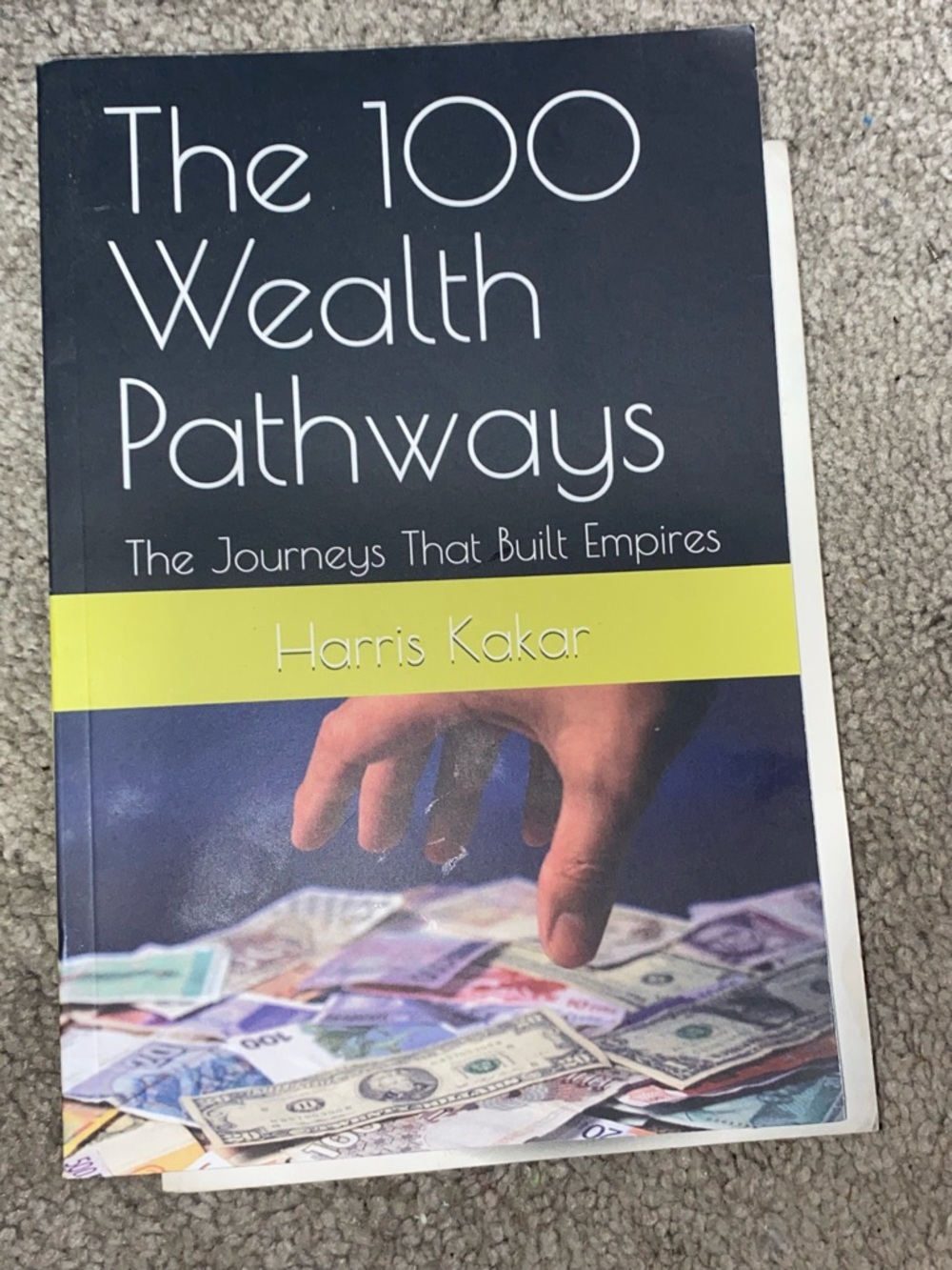 The 100 Wealth Pathways by Harris Kakar - Black & Yellow Cover